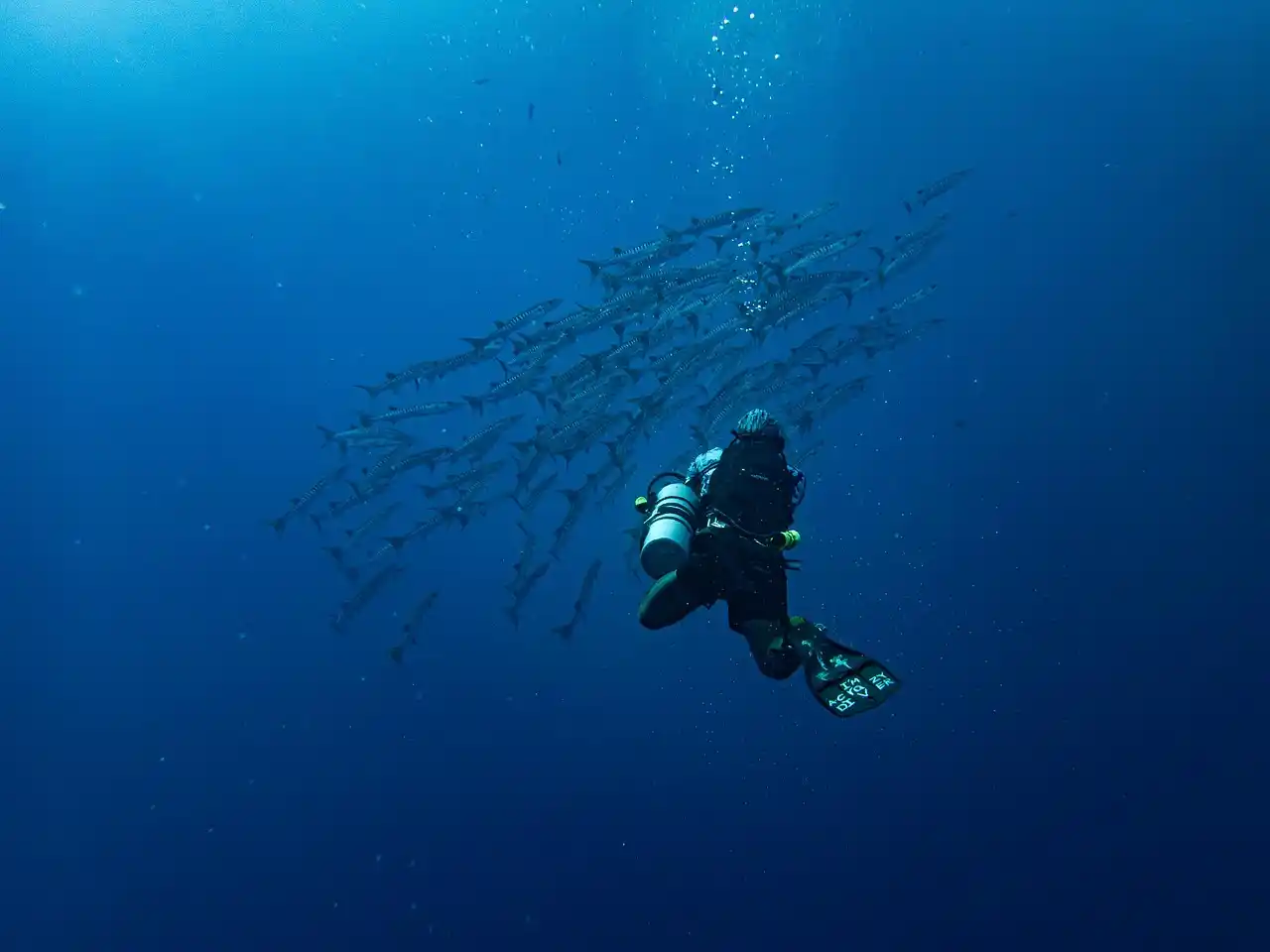 Exploración 2