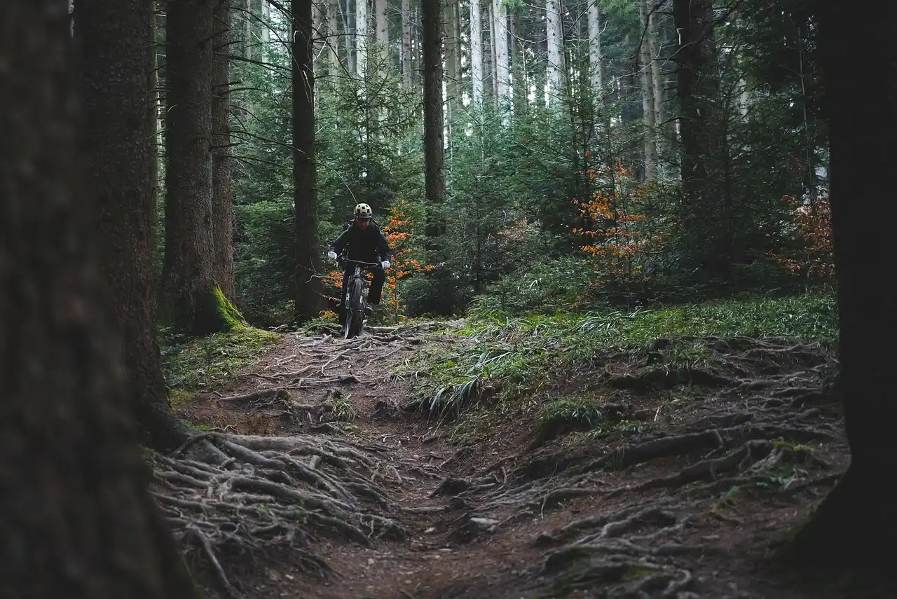 MTB Ruta 2