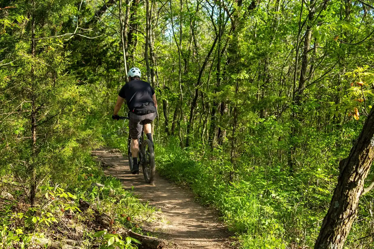 MTB Ruta 4