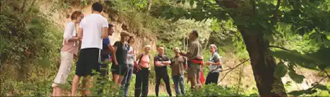 Guía Nacional Ruta 4