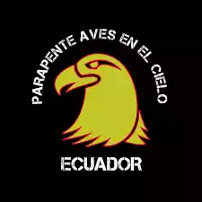 Logo Insignia